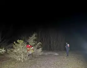Eflani'de Kayıp Kişi Ormanda Ölü Bulundu