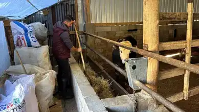 Genç Ziraatçı Köyde Hayvancılığa Geçti