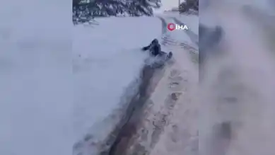 Şiddetli Kar Yağışı Yolları Kapattı!
