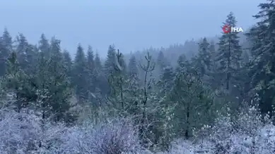 Kuzey Bölgesinde Kar Yağışı Başladı