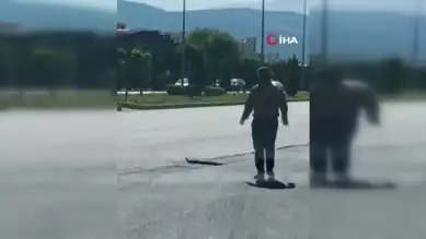 Yolda Tehlike: Mazgal ve Başıboş Hayvan Trafiği Felç Etti!