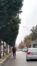 Safranbolu'da Tehlikeli Mazgal ve Koşan At