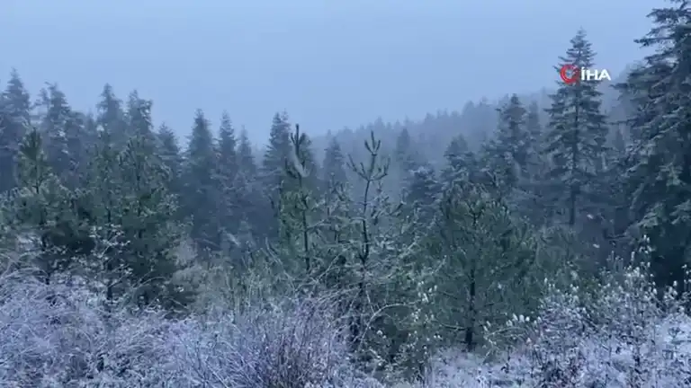 Kuzey Bölgesinde Kar Yağışı Başladı
